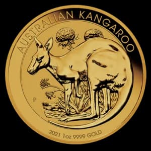Kangourou 1 Oz Or (Avers)